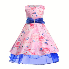 2019 New Sleeveless O-neck Printed Rose Flowers Pink Princess Dress  for Girls Tulle Girls Dress Party Frocks Designs